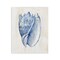 Stupell Industries Nautical Soft Blue Conch Wall Plaque Design by Susan Arnot
